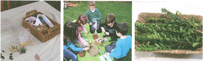 (בספר איור של נוגה ושביט משוחחים)